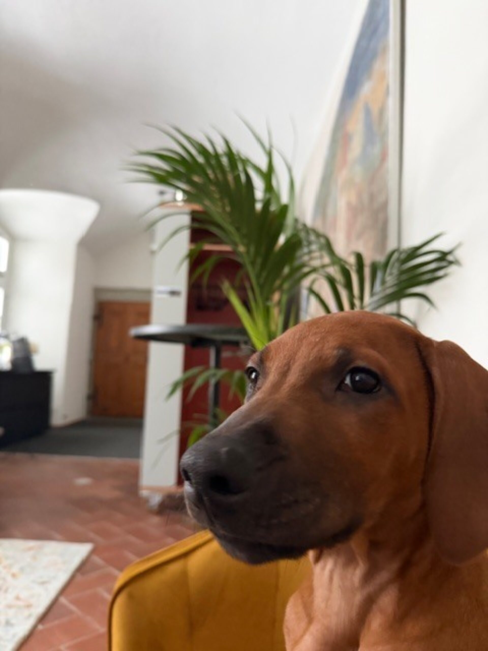 Jabari in der Lounge